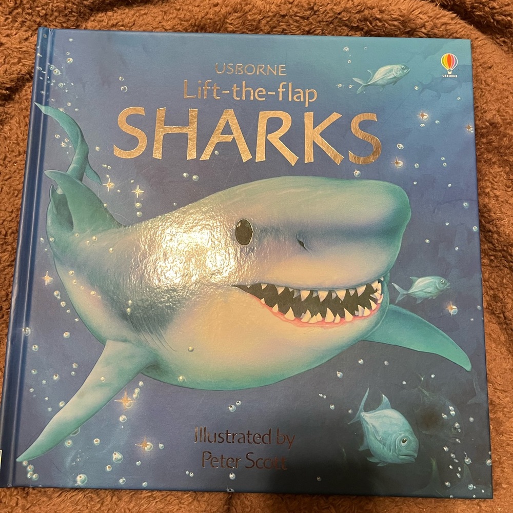 NEW Usborne Lift- The - Flap Book Sharks